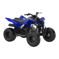 Preview: Yamaha YFM90 2019