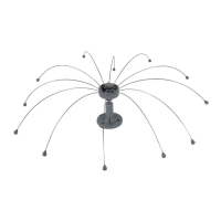 Preview: P+L Systems Daddi Long Legs