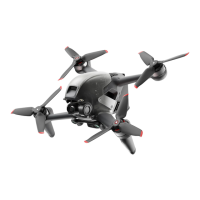 Preview: dji FPV Series