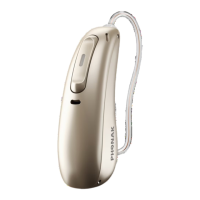 Preview: Phonak Audeo P Series