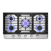 Preview: FOTILE GLS36502