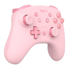 Controller Logo