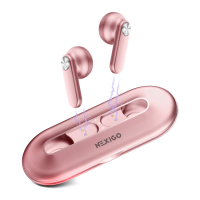 Preview: Nexigo Air T2