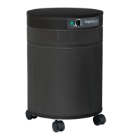 Preview: Airpura R600