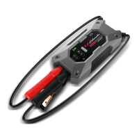Preview: Schumacher SL1596