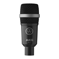 Preview: AKG D 40