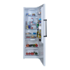 Freezer Logo