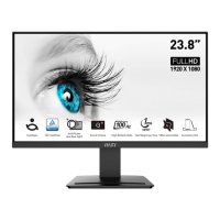 Preview: MSI PRO MP2412