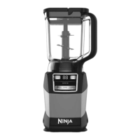 Preview: Ninja AMZ493BRN