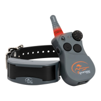 Preview: SportDOG FIELDSENTINEL 825