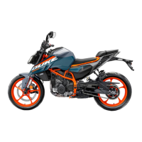 Preview: KTM 390 DUKE 2024