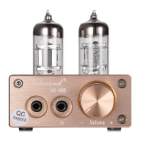 Preview: Nobsound NS-10P