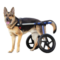 Preview: Walkin’ Pets Large