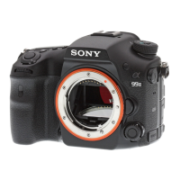Preview: Sony A99 II