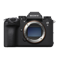 Preview: Sony alpha 9 III