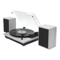 Preview: Victrola MONTAUK
