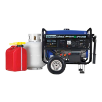 Preview: DuroStar DUAL FUEL XP4400EH