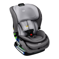 Preview: Britax Poplar Car Seat