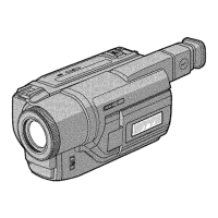 Preview: Sony Digital8 DCR-TRV120