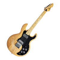 Preview: Peavey T-60