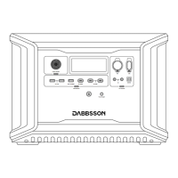 Preview: DABBSSON DBS2300Plus