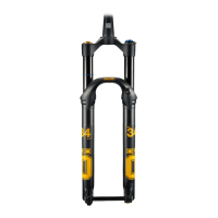 Preview: Ohlins DH38