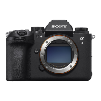 Preview: Sony a9III