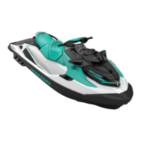 Preview: SeaDoo GTX Series 2022