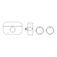 Preview: Hollyland LARK M2