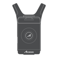 Preview: Accsoon CineView Nano