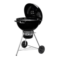 Preview: Weber Master-Touch