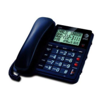 Preview: AT&T CL2939