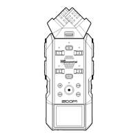 Preview: Zoom H6essential