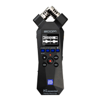 Preview: Zoom H1essential