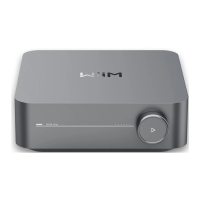 Preview: WiiM Amp
