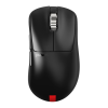 Mouse Logo