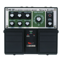Preview: Boss RE-20 COSM