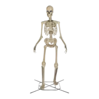 Preview: Home Accents Holiday 24SV24386