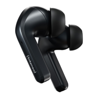 Preview: Intenso T300A