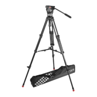 Preview: Sachtler System Ace M MS