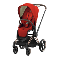 Preview: CYBEX GOLD