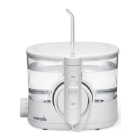 Preview: Waterpik ION