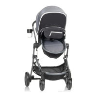 Preview: Evenflo Pivot Vizor