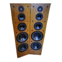 Preview: Infinity Crescendo Series