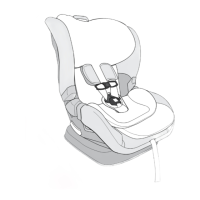 Preview: Britax Poplar