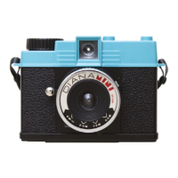 Preview: Lomography Diana