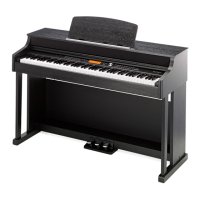 Preview: thomann DP-95 B