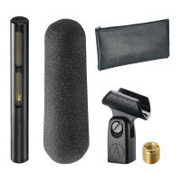 Preview: Audio Technica AT875R