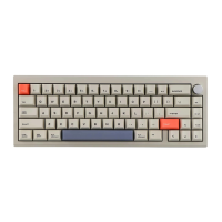 Preview: CIDOO V65