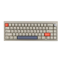 Preview: CIDOO V65 V2